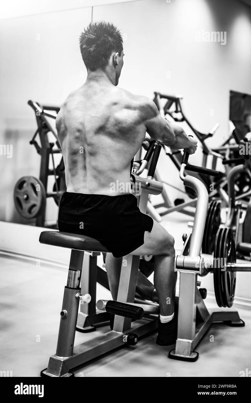 Strong muscular bodybuilder man doing back with the seated row machine ...