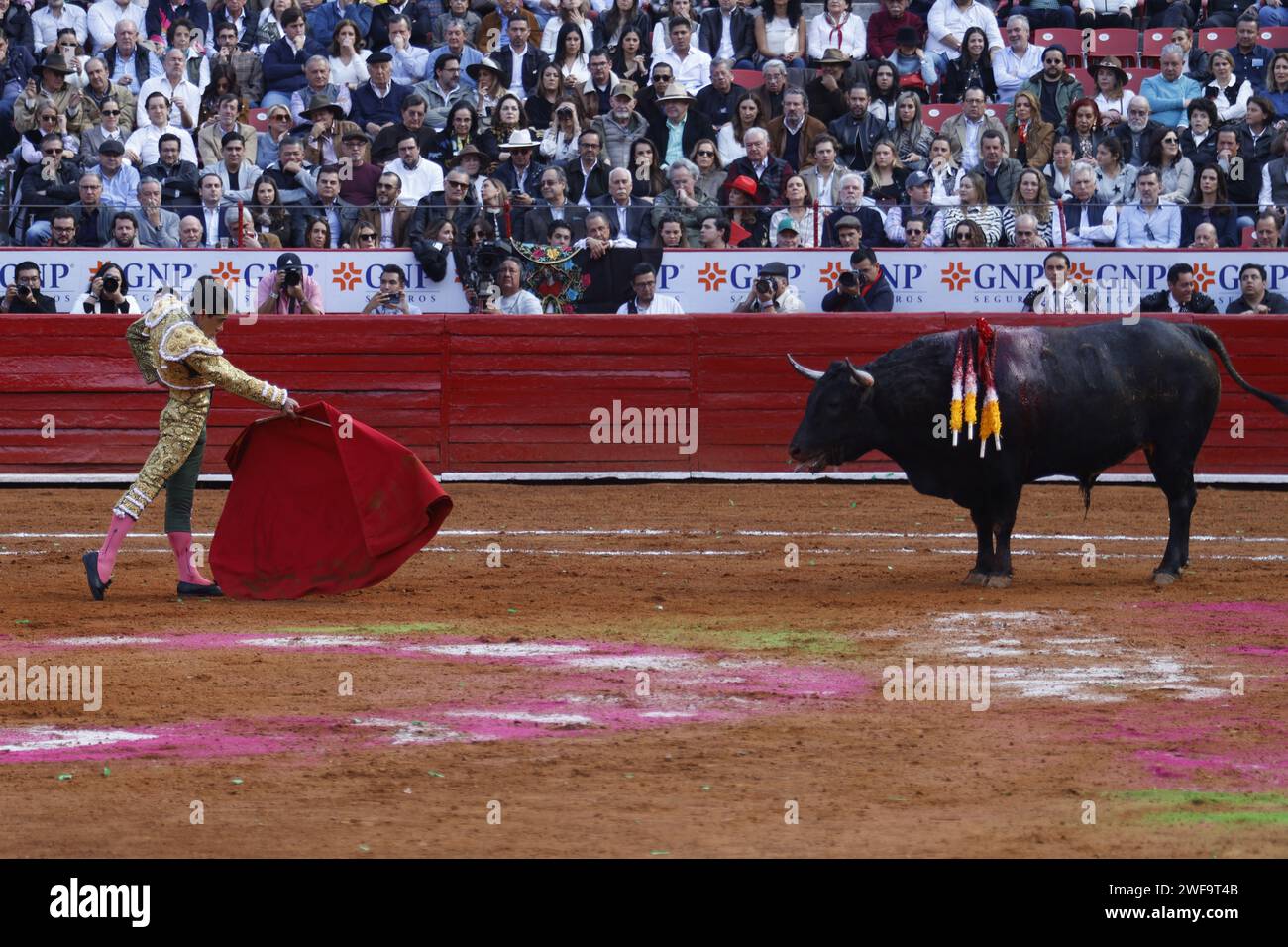 Mexico City, Ciudad de Mexico, Mexico. 28th Jan, 2024. January 28, 2024, Mexico City, Mexico: Joselito Adame challenges the bull during his participation in the bullfighting event at Plaza Mexico after the bullfighting is allowed in Mexico City once again after the Supreme Court lifted a ban on the activity promoted by the NPO 'Justicia Justa'. on January 28, 2024 in Mexico City, Mexico. (Credit Image: © Alejandro Medina Guzman/eyepix via ZUMA Press Wire) EDITORIAL USAGE ONLY! Not for Commercial USAGE! Stock Photo