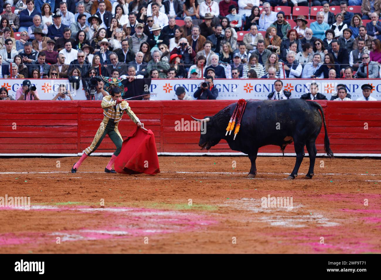 Mexico City, Ciudad de Mexico, Mexico. 28th Jan, 2024. January 28, 2024, Mexico City, Mexico: Joselito Adame challenges the bull during his participation in the bullfighting event at Plaza Mexico after the bullfighting is allowed in Mexico City once again after the Supreme Court lifted a ban on the activity promoted by the NPO 'Justicia Justa'. on January 28, 2024 in Mexico City, Mexico. (Credit Image: © Alejandro Medina Guzman/eyepix via ZUMA Press Wire) EDITORIAL USAGE ONLY! Not for Commercial USAGE! Stock Photo
