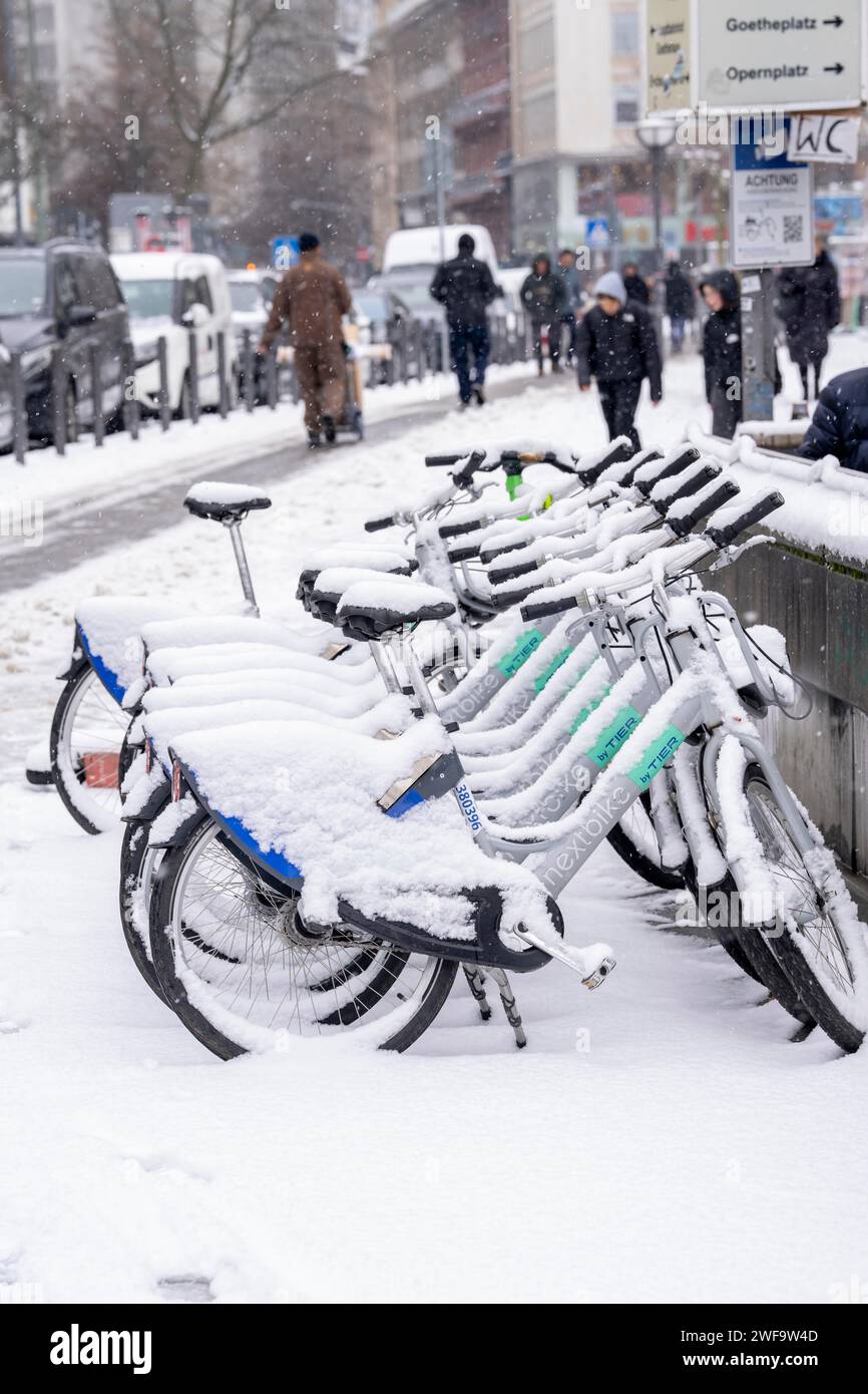 Winter in the city, snow-covered rental bikes from Nextbike, animal, Hauptwache, Frankfurt am Main, Hesse, Germany Stock Photo