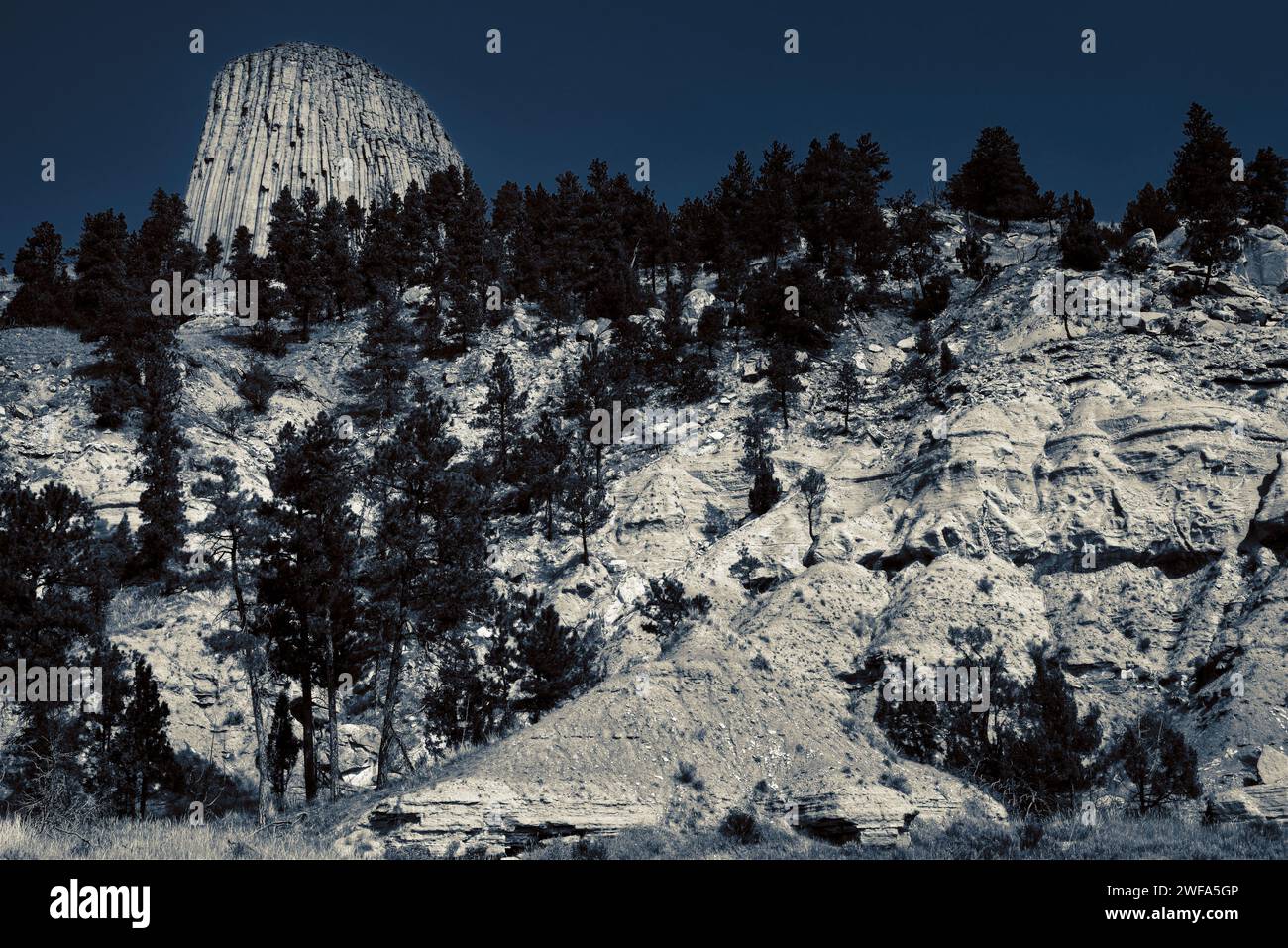 Devil's Tower looms above an eroded cliff — monochorome (two color) treatment to simulate a moonlit night Stock Photo
