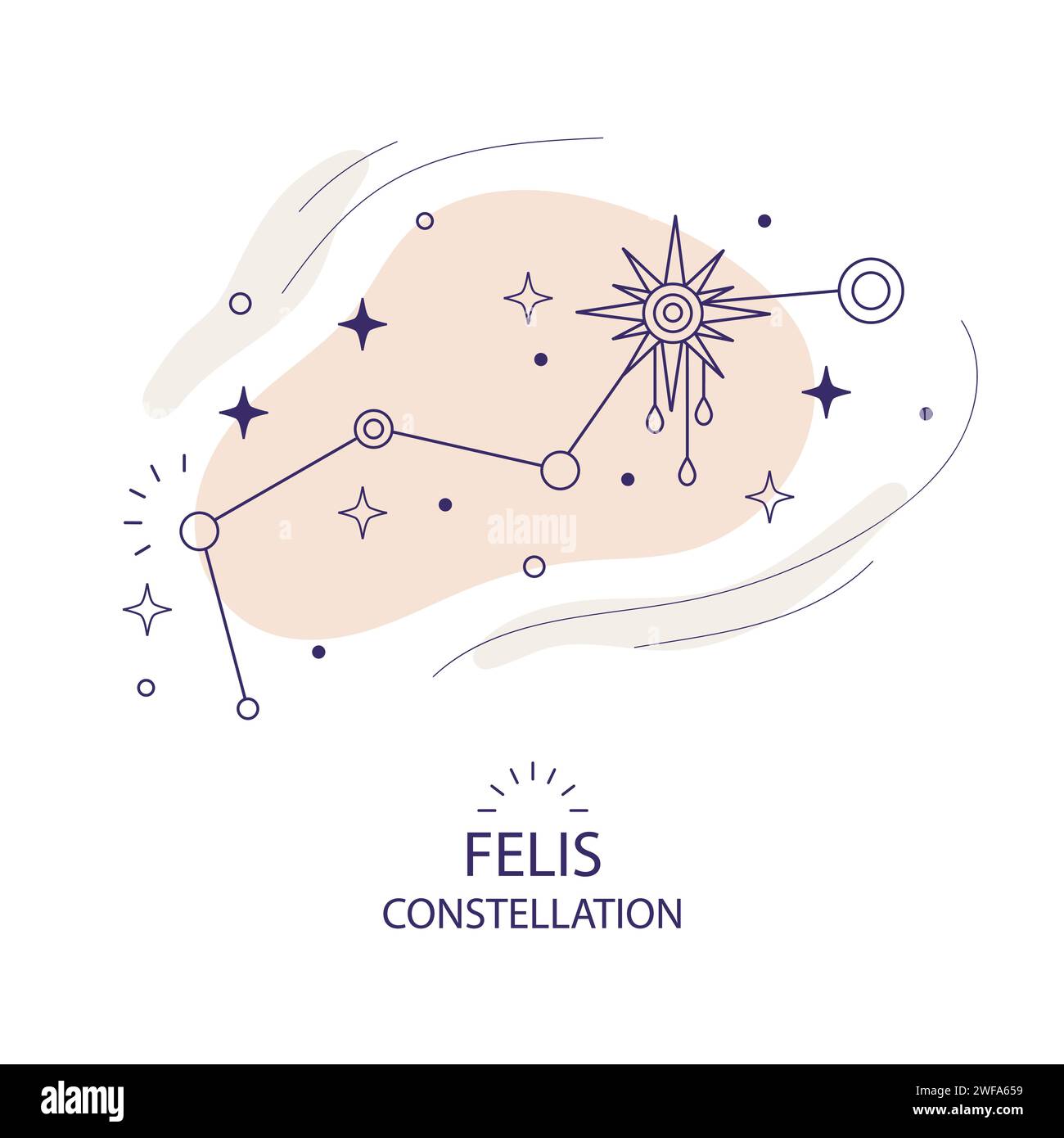 Star constellation Fellis vector illustration in trendy style. The Cat ...