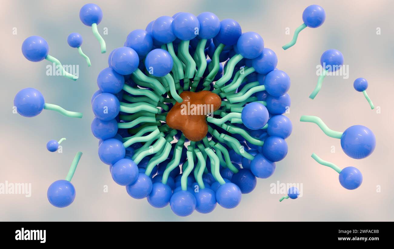 Micelles hires stock photography and images Alamy