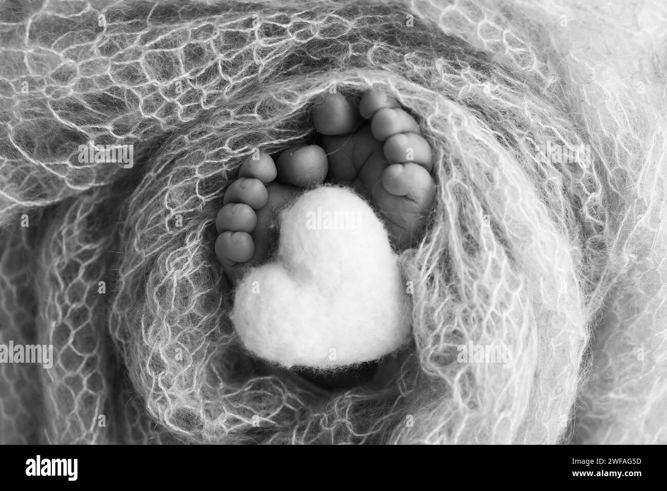 The tiny foot of a newborn baby. Soft feet of a new born in a wool