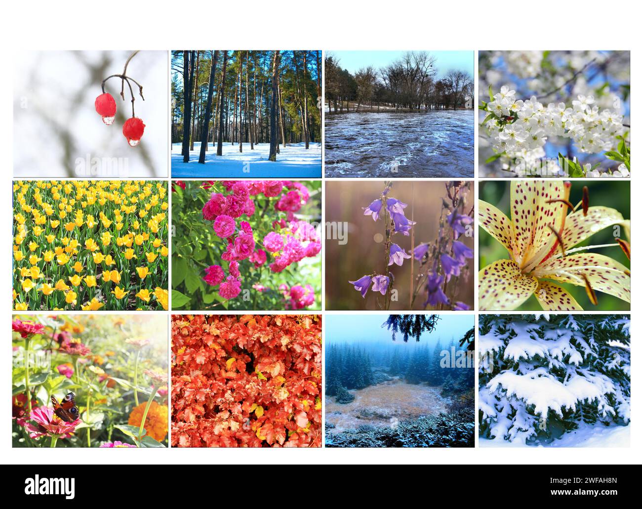 Blank with different twelve colored images of nature for calendar. Ready photo for calendar. Pictures for yearly calendar. Placard for office Stock Photo