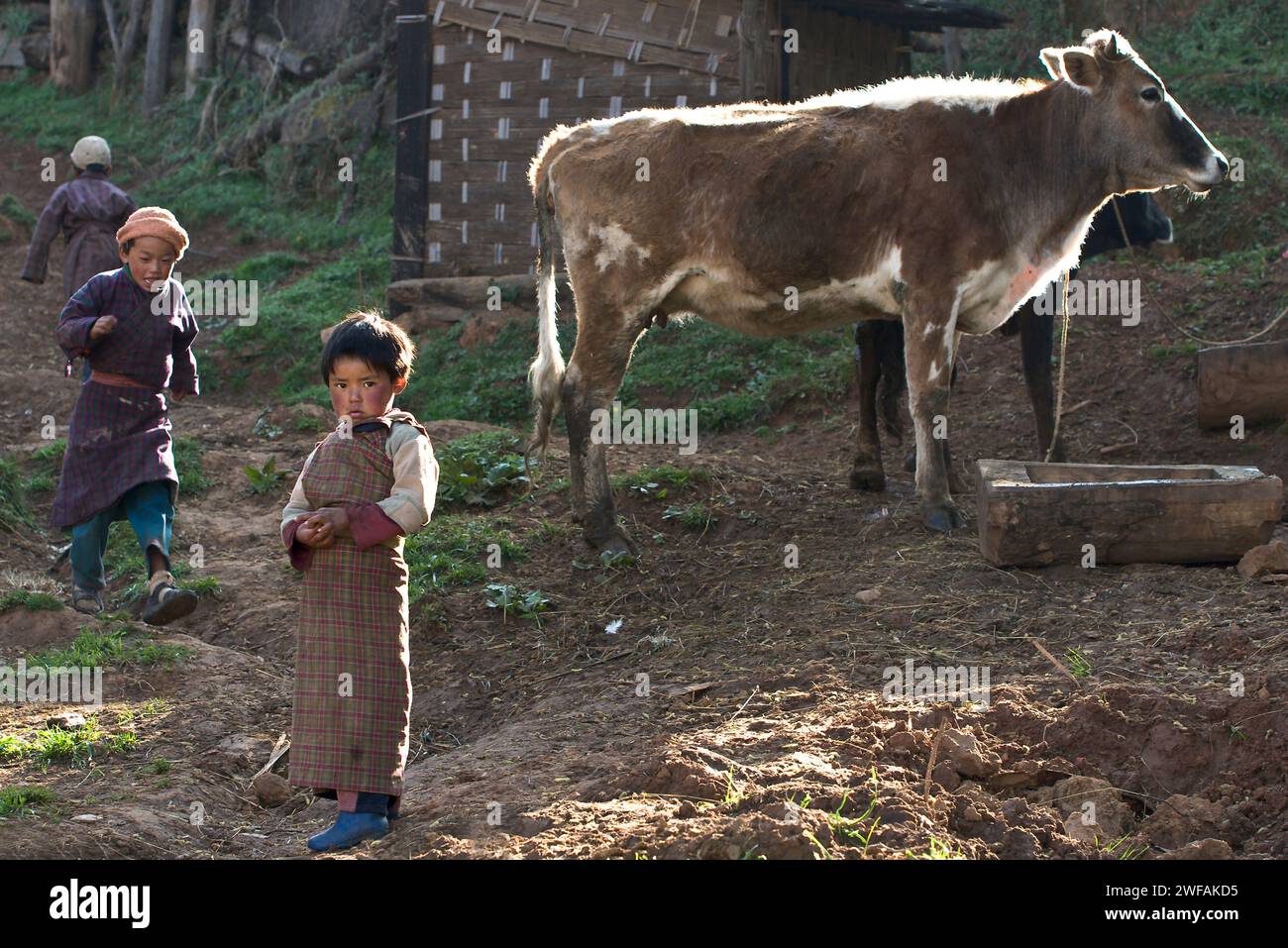 Bhutanese farm life Stock Photo