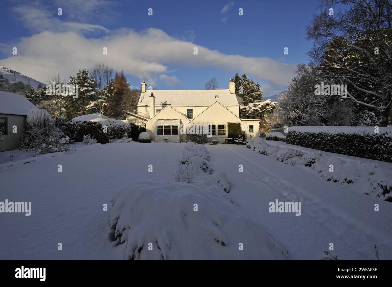 Snow-covered trees in a country house and garden in winter, Killin, Perthshire, Scotland, UK Stock Photo