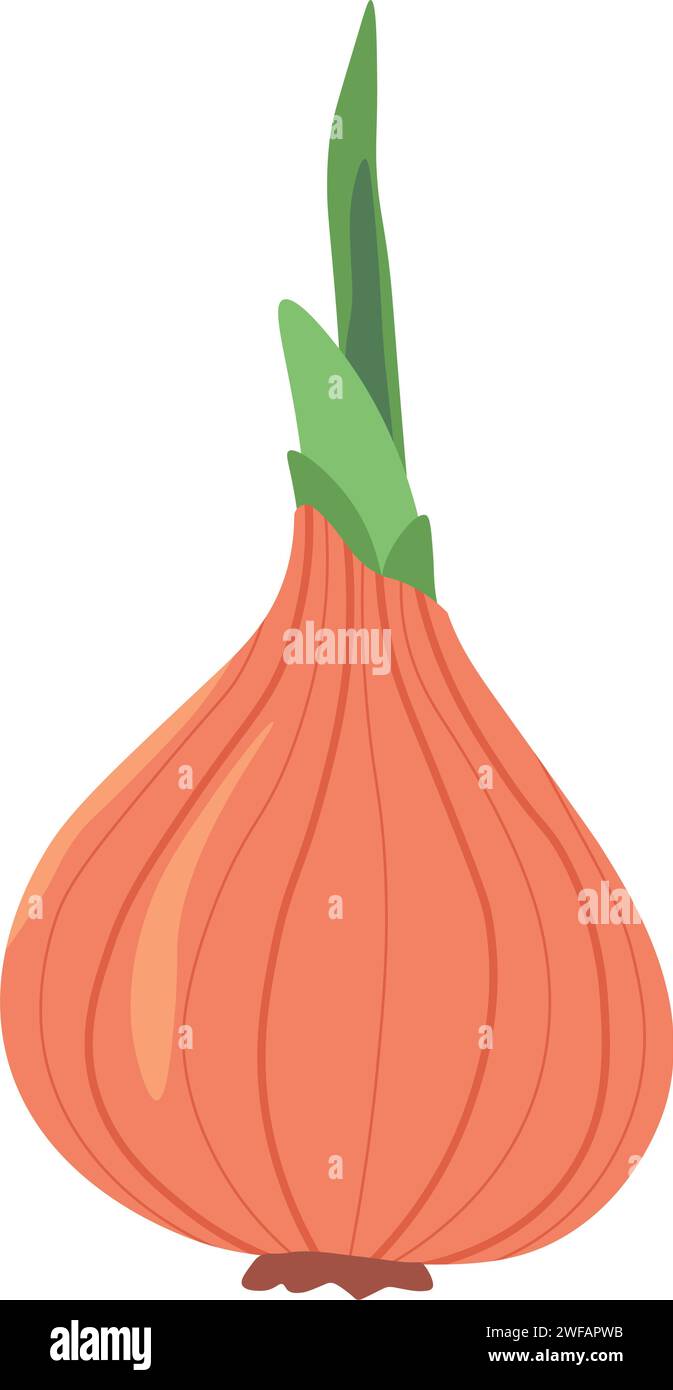 Onion odor Stock Vector Images - Alamy