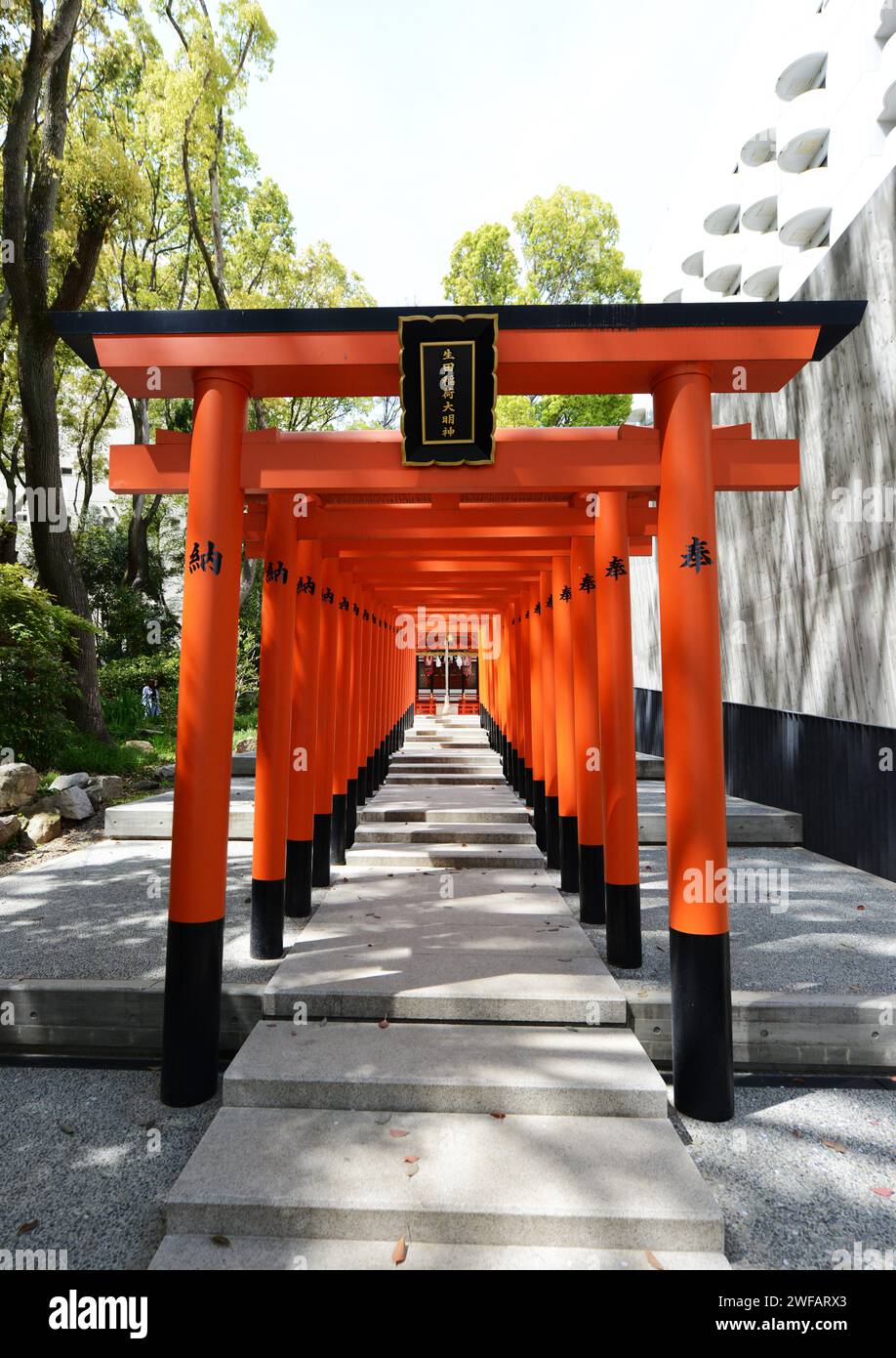 Red Tori gates at the Ikuta Shrine in Kobe, Japan. Stock Photo
