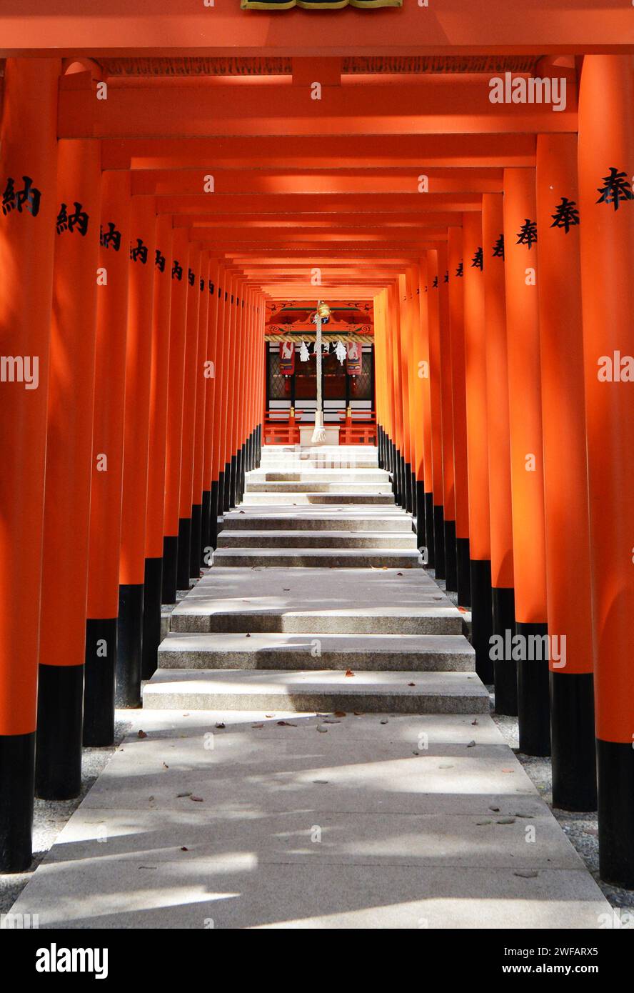 Red Tori gates at the Ikuta Shrine in Kobe, Japan. Stock Photo