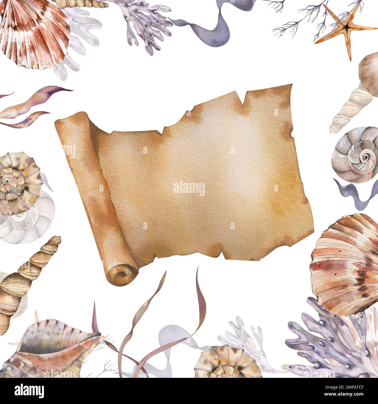 Sea Shell Scroll Design marine-themed frame. shells, corals, starfish, algae, scroll ...