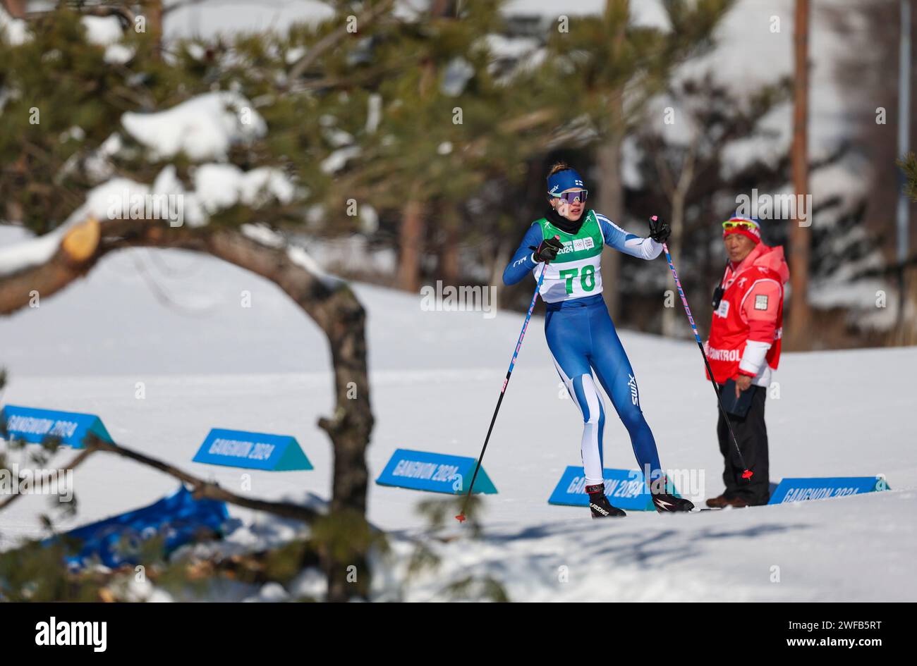Pyeongchang, South Korea. 30th Jan, 2024. Nelli-Lotta Karppelin of Finland competes during the Women's 7.5km Classic of Cross-Country Skiing event at the Gangwon 2024 Winter Youth Olympic Games in Pyeongchang, South Korea, Jan. 30, 2024. Credit: Hu Huhu/Xinhua/Alamy Live News Stock Photo