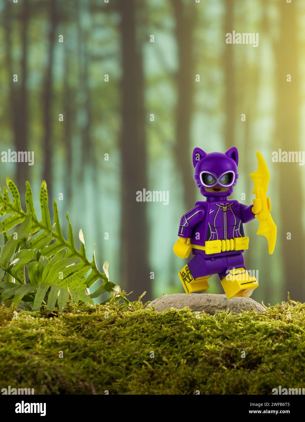 Lego cat hi res stock photography and images Page 2 Alamy