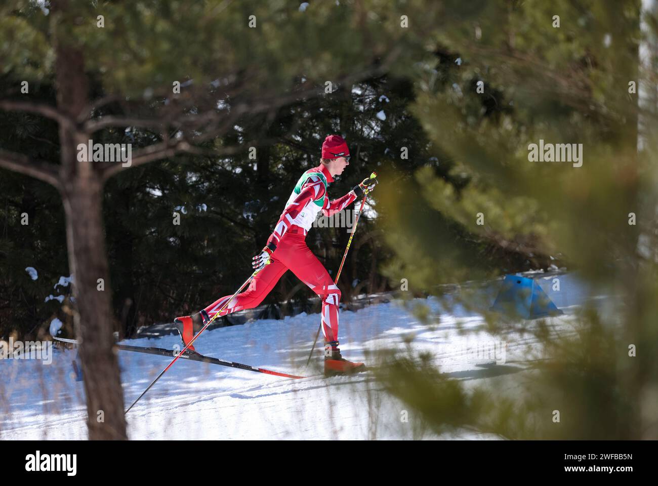 Pyeongchang, South Korea. 30th Jan, 2024. Niklas Walcher of Austria competes during the Men's 7.5km Classic of Cross-Country Skiing event at the Gangwon 2024 Winter Youth Olympic Games in Pyeongchang, South Korea, Jan. 30, 2024. Credit: Hu Huhu/Xinhua/Alamy Live News Stock Photo