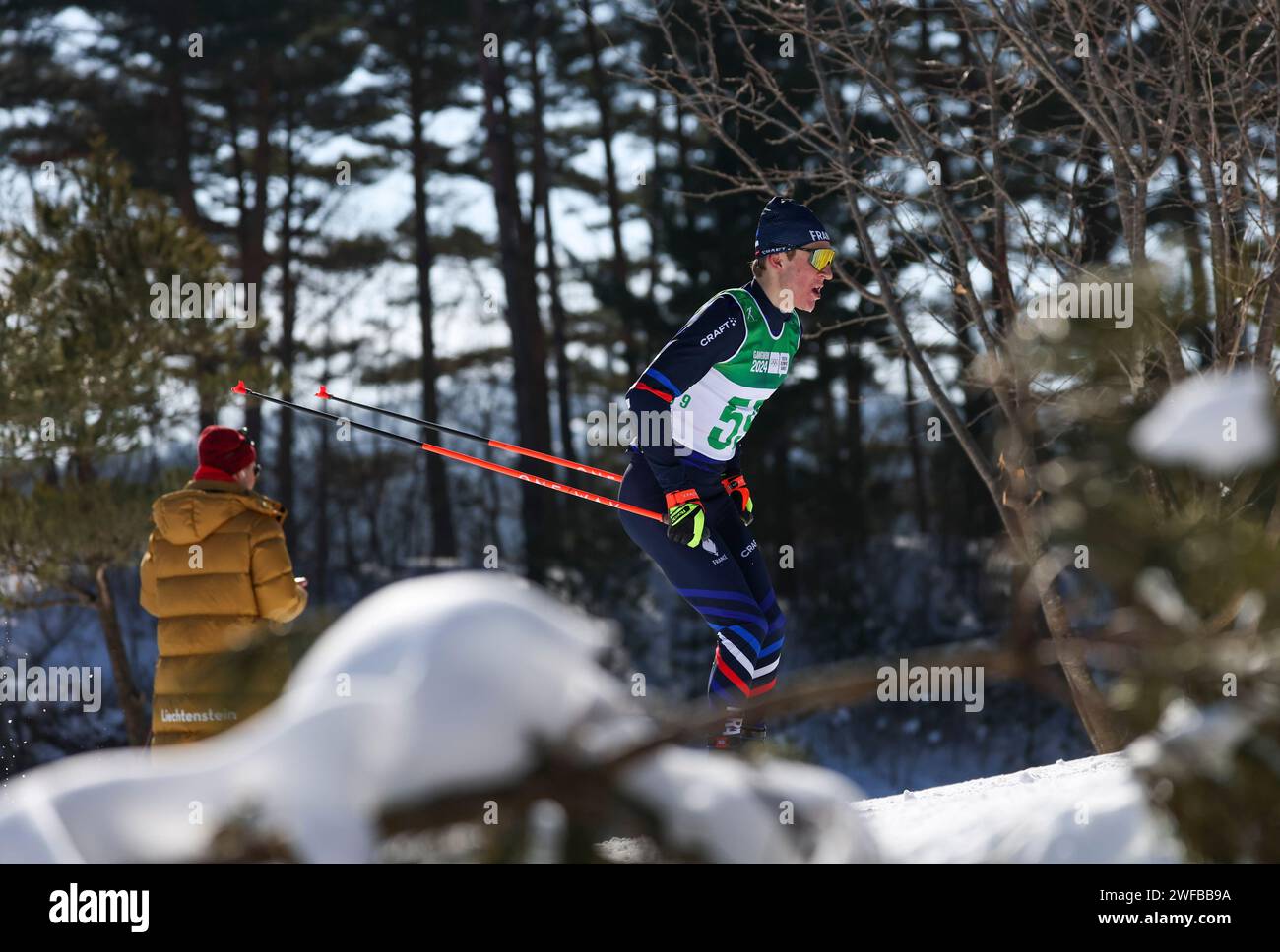 Pyeongchang, South Korea. 30th Jan, 2024. Quentin Lespine of France competes during the Men's 7.5km Classic of Cross-Country Skiing event at the Gangwon 2024 Winter Youth Olympic Games in Pyeongchang, South Korea, Jan. 30, 2024. Credit: Hu Huhu/Xinhua/Alamy Live News Stock Photo