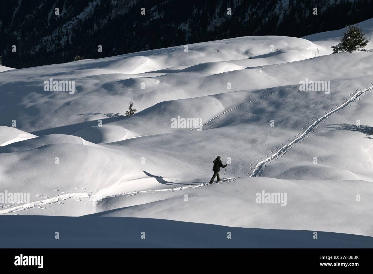 Schneeschuh Wandern im Naturpark Beverin, Graubünden, Schweiz Stock Photo