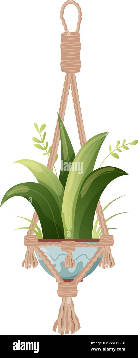 Houseplant and macrame plant growing in pots. Beautiful handmade home ...