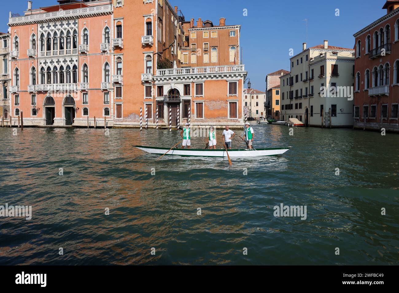 Venice, Italy - September 6, 2022: Local rowing team training on the Grand Canal in Venice, Italy Stock Photo