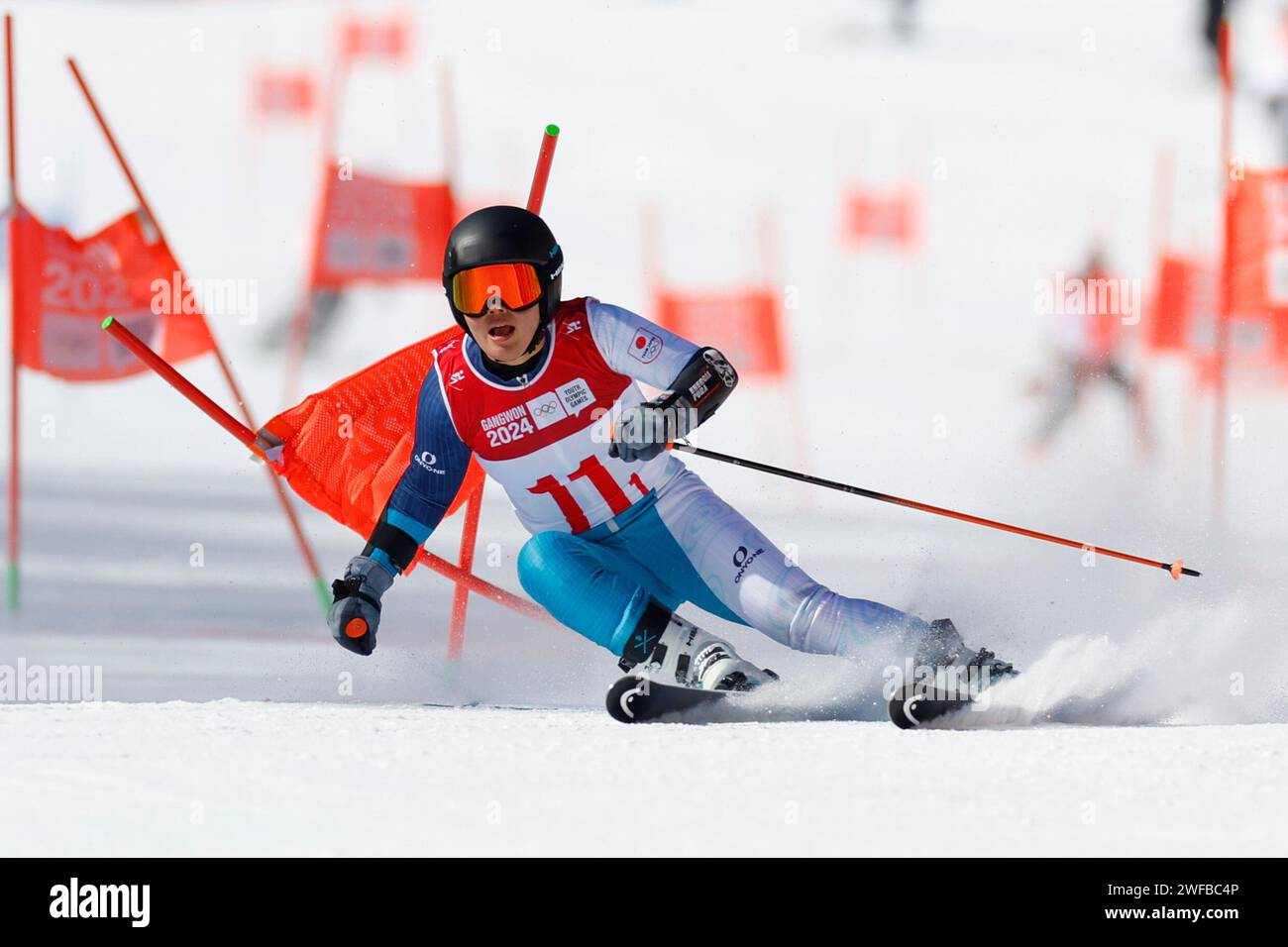 Jeongseon Sports Engineering a Year-Round Venue