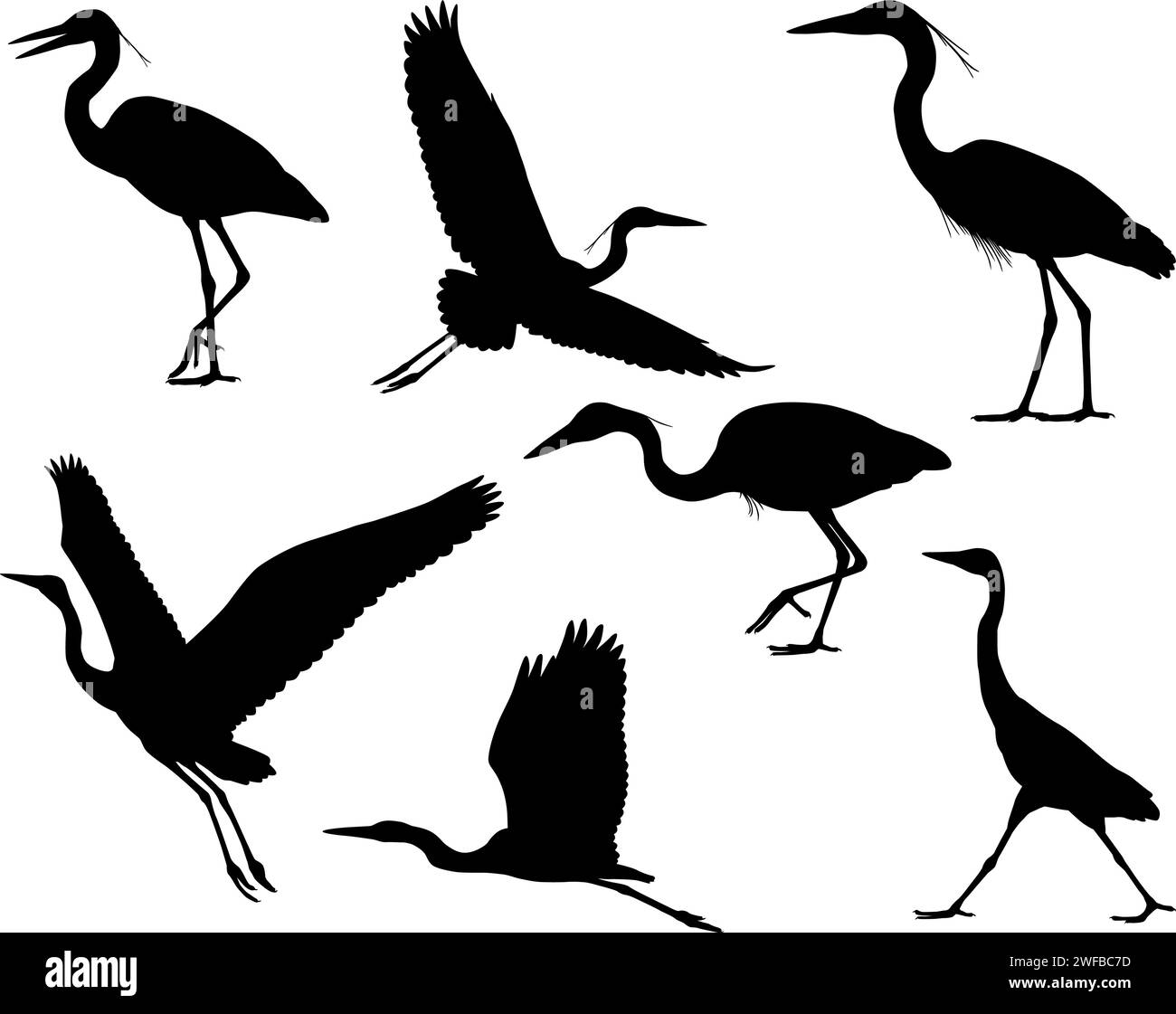 Collection of silhouettes of heron or egret birds Stock Vector
