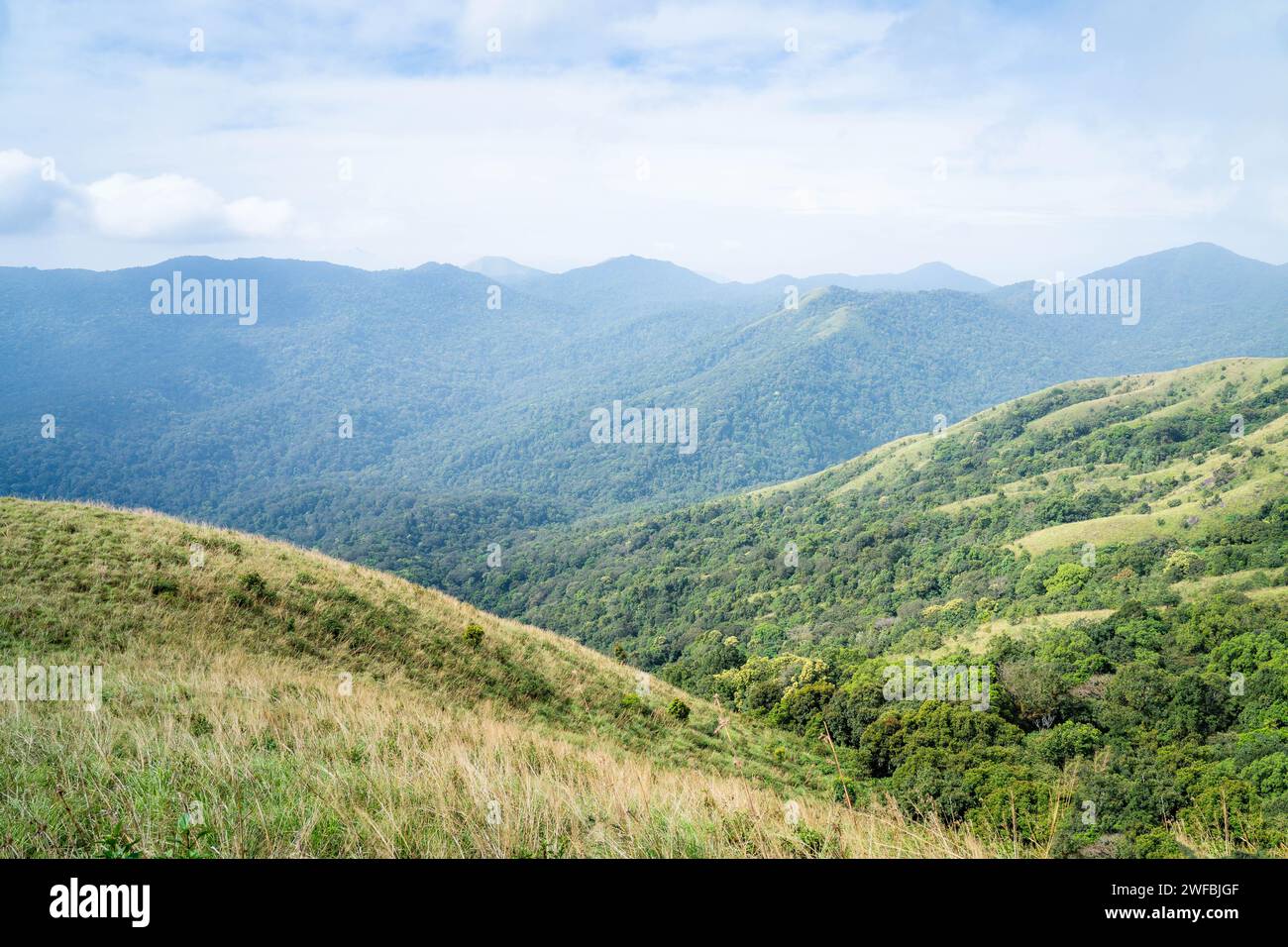 The Brahmagiri Hills are located in the Wayanad District of Kerala and ...