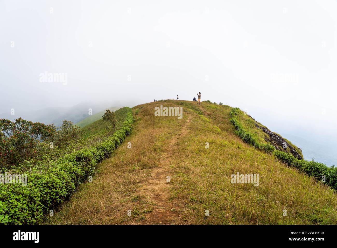 The Brahmagiri Hills Are Located In The Wayanad District Of Kerala And ...