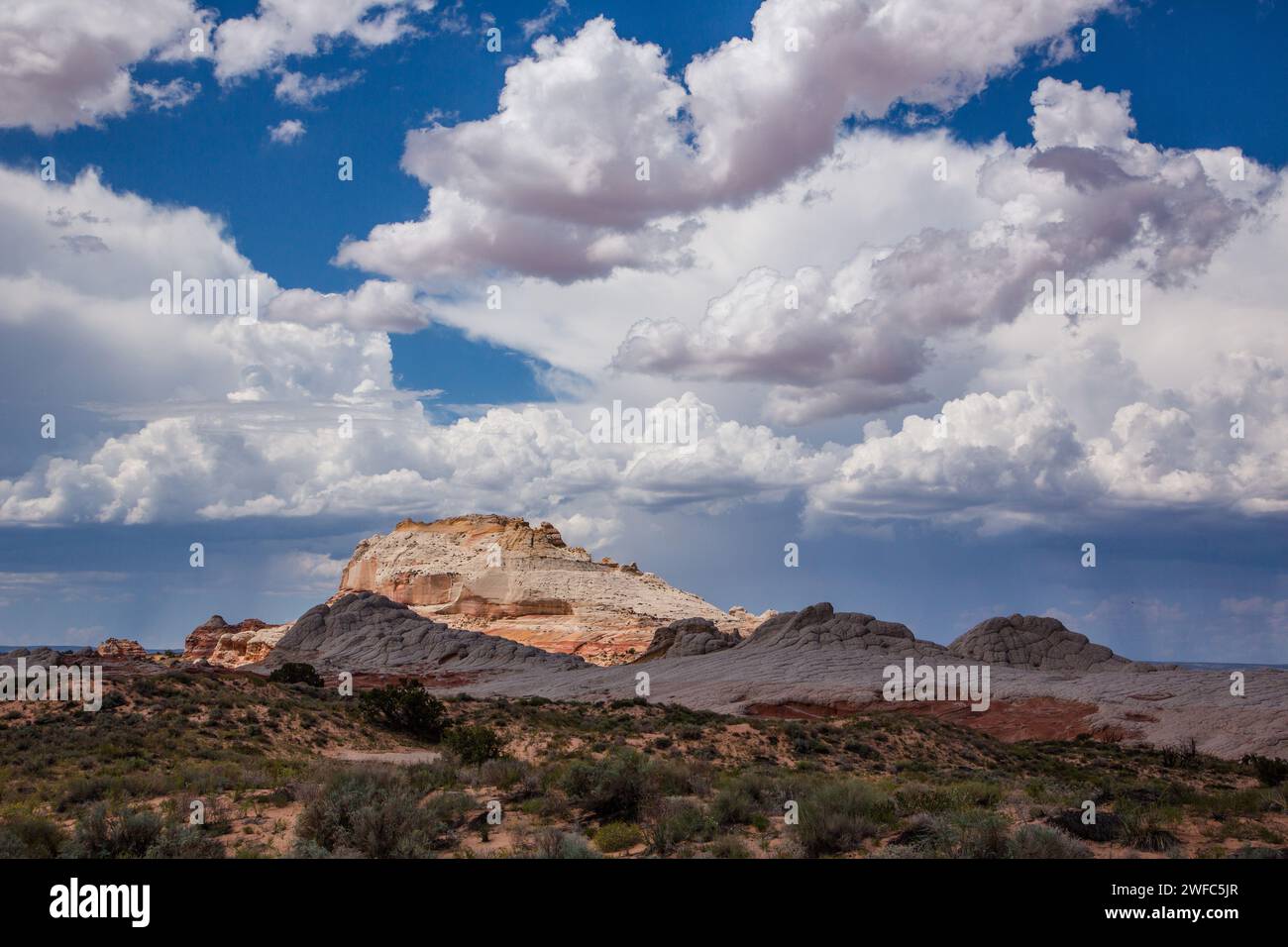 Sagebrush flats & the sandstone monolith in the White Pocket Recreation