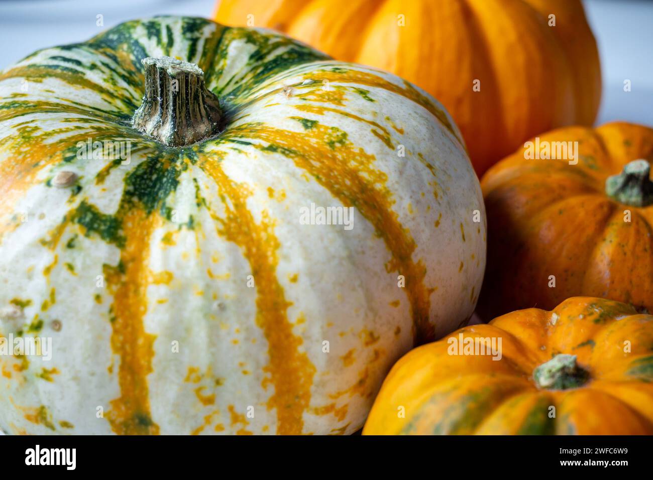 Orange and white pumpkins on a white table Stock Photo