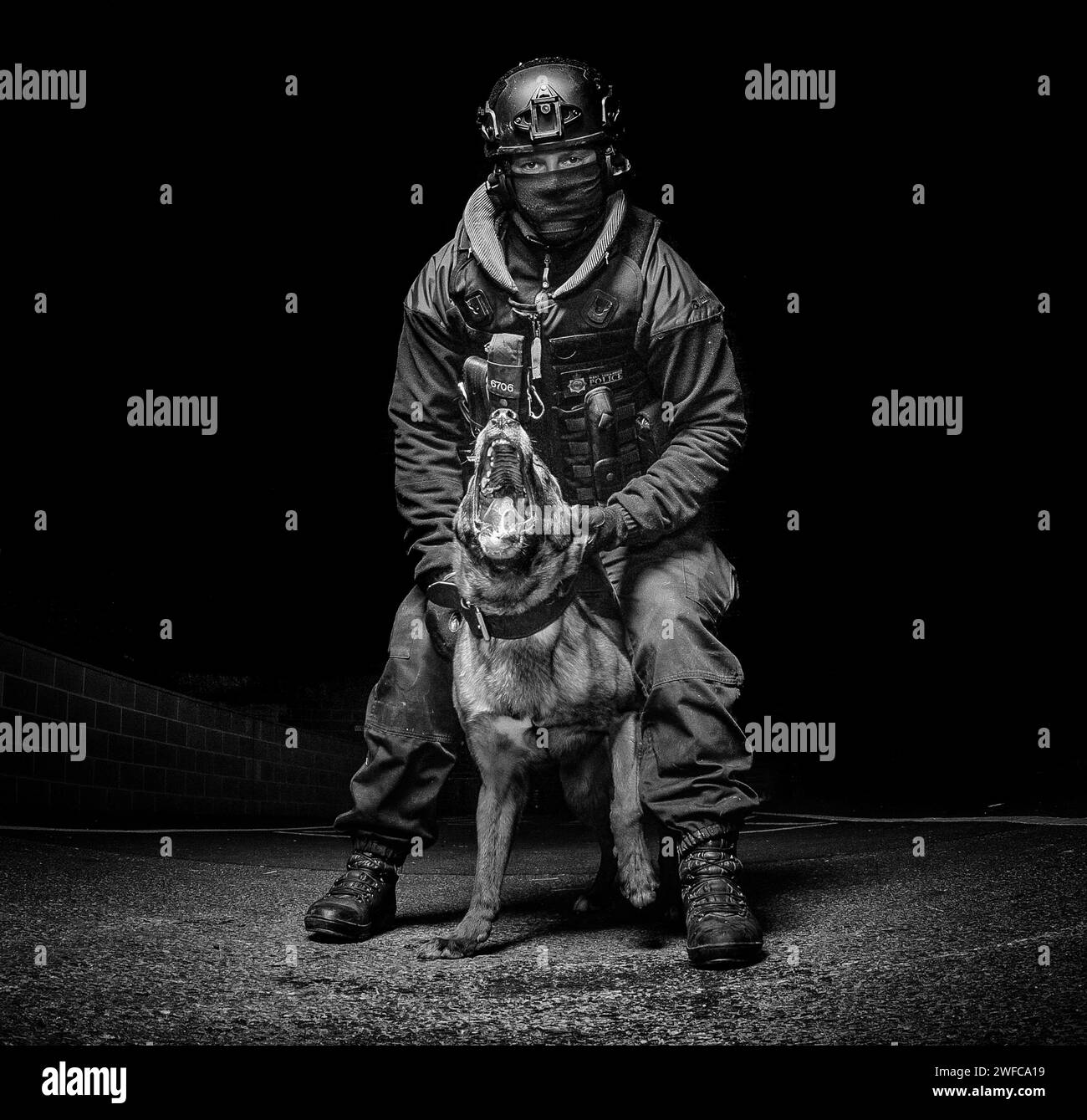 UK Police dog handler dressed in firearms kit with aggressive firearms support dog looking at camera Stock Photo