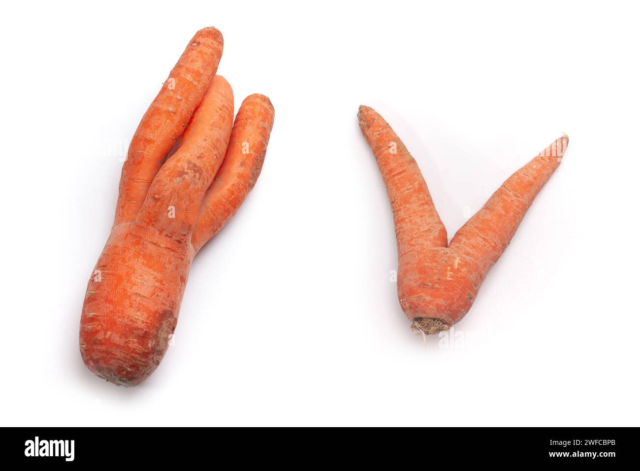 strange shaped carrots isolated on white surface Stock Photo