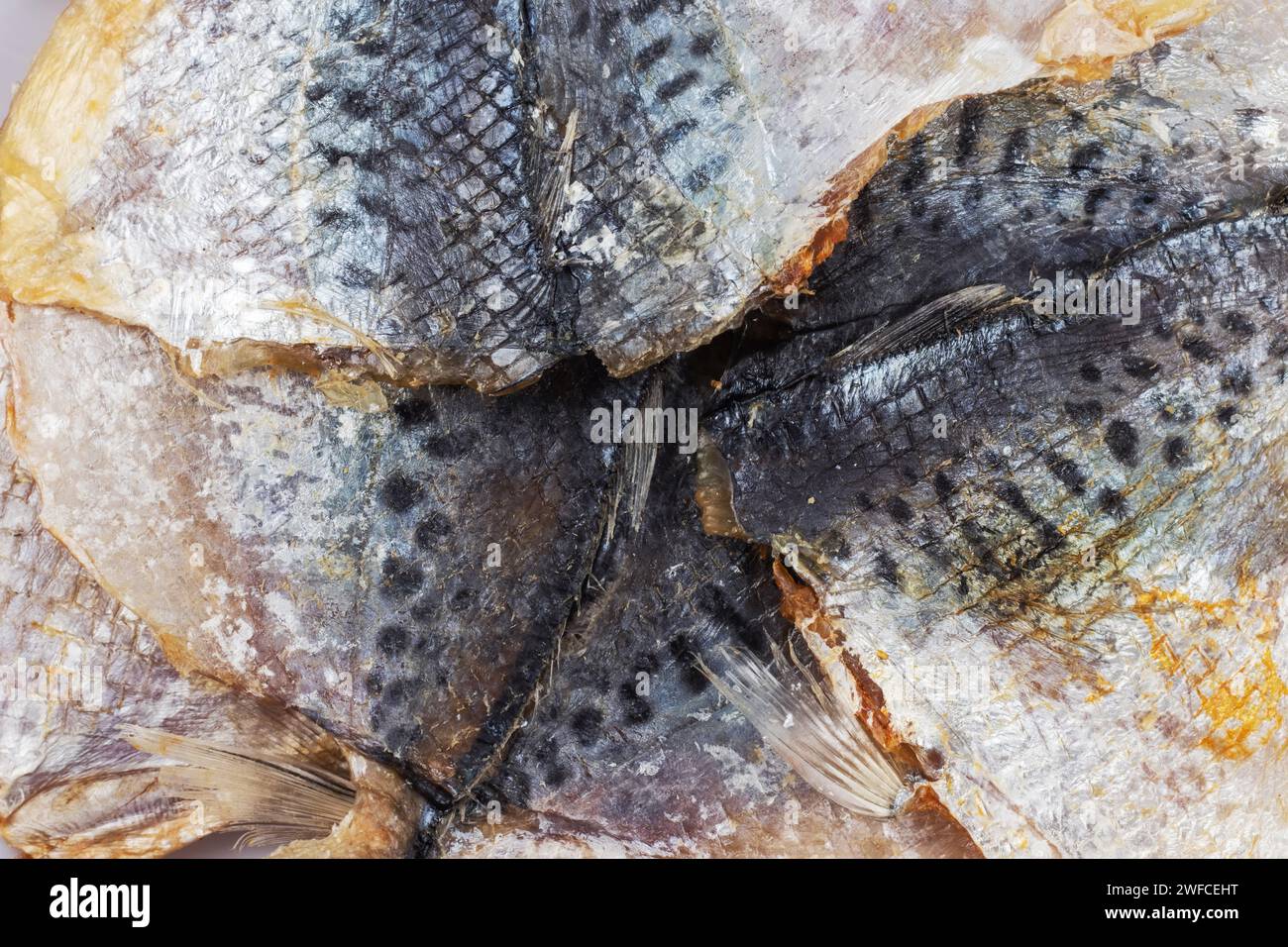 Dry salted yellowstripe scad texture background. Dried small fish ...
