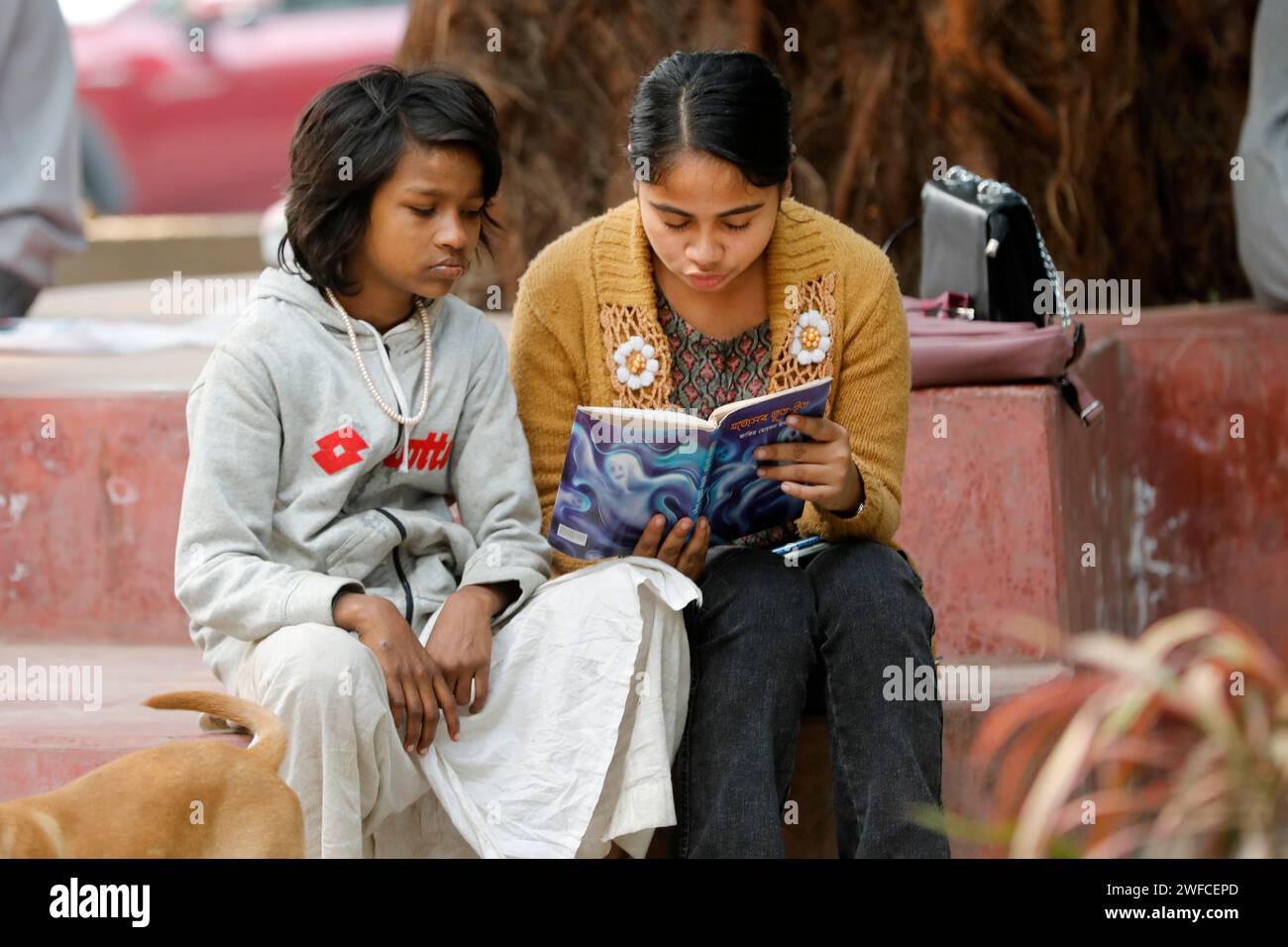 Dhaka, Bangladesh - January 30, 2024: In the open library in front of