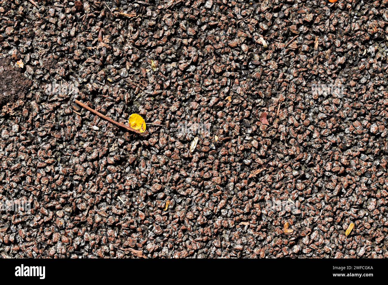 Stone floor on public park Stock Photo