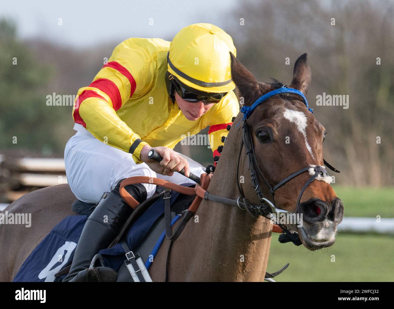 Geromino wins SBK Handicap Hurdle at Doncaster for Donald McCain, Charlie Maggs and Mr G E Fitzpatrick at Doncaster on Sat 27 Jan 24 Stock Photo