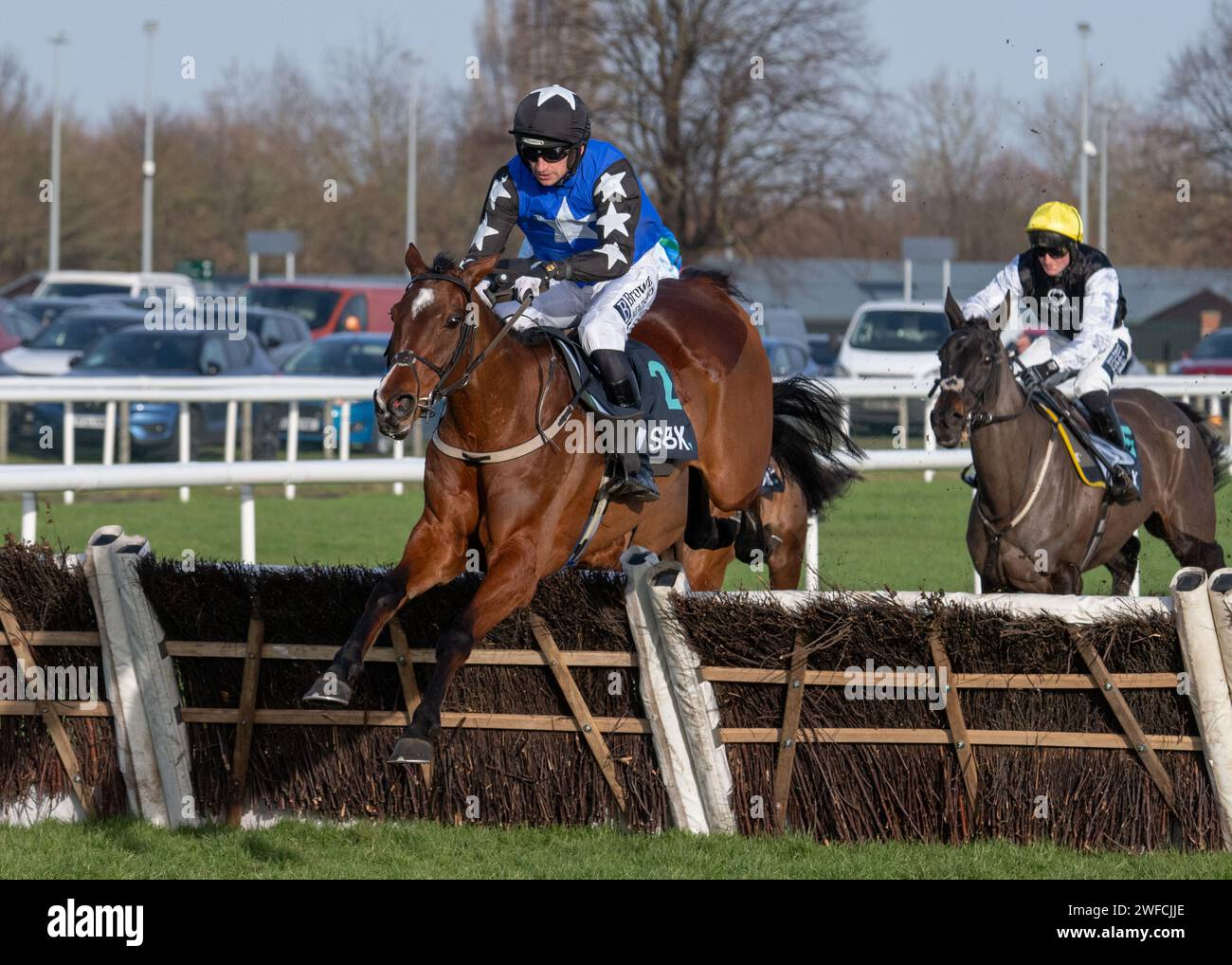 Ashroe Diamond wins the SBK Yorkshire Rose Mares' Hurdle at Doncaster for W P Mullins and P W Mullins for Blue Blood Racing Club - Sat 27 Jan 24 Stock Photo
