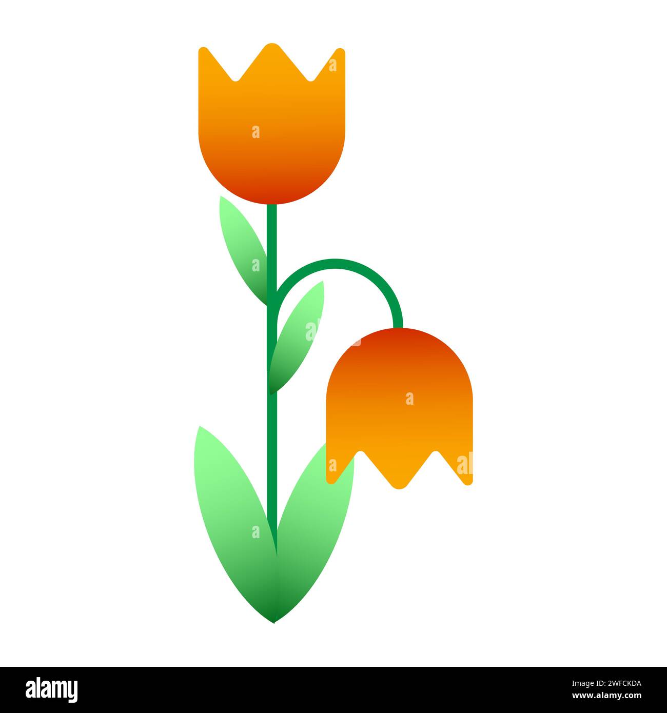 Beautiful yellow tulips. Plant floral design. Vector illustration. stock image. EPS 10. Stock Vector