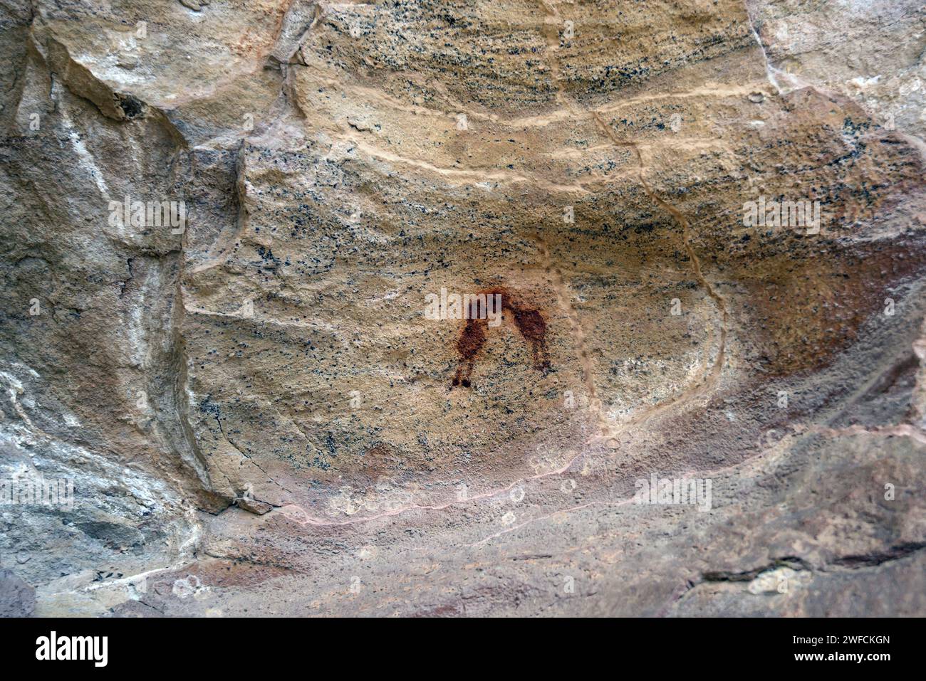 Detail of petroglyphs on rock in the Sierra National Park Capybara Stock Photo