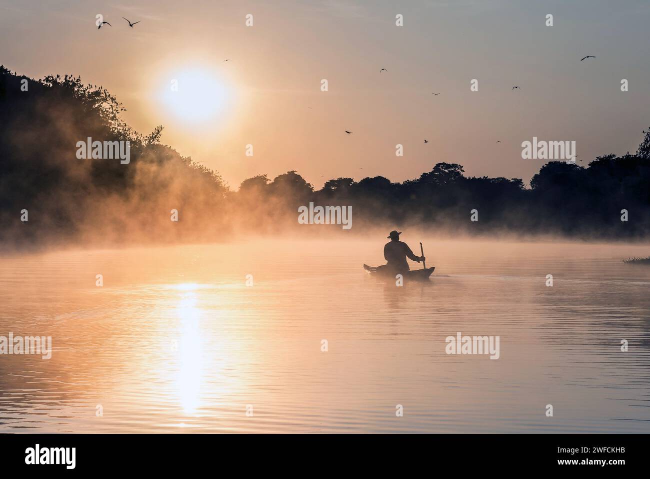 Fisherman on Lake of the Extractive Reserve Cuniã - District of San Carlos local: Porto Velho , Rondonia , Brazil date: 08/2013 Code: 02DIB425 Author: Stock Photo