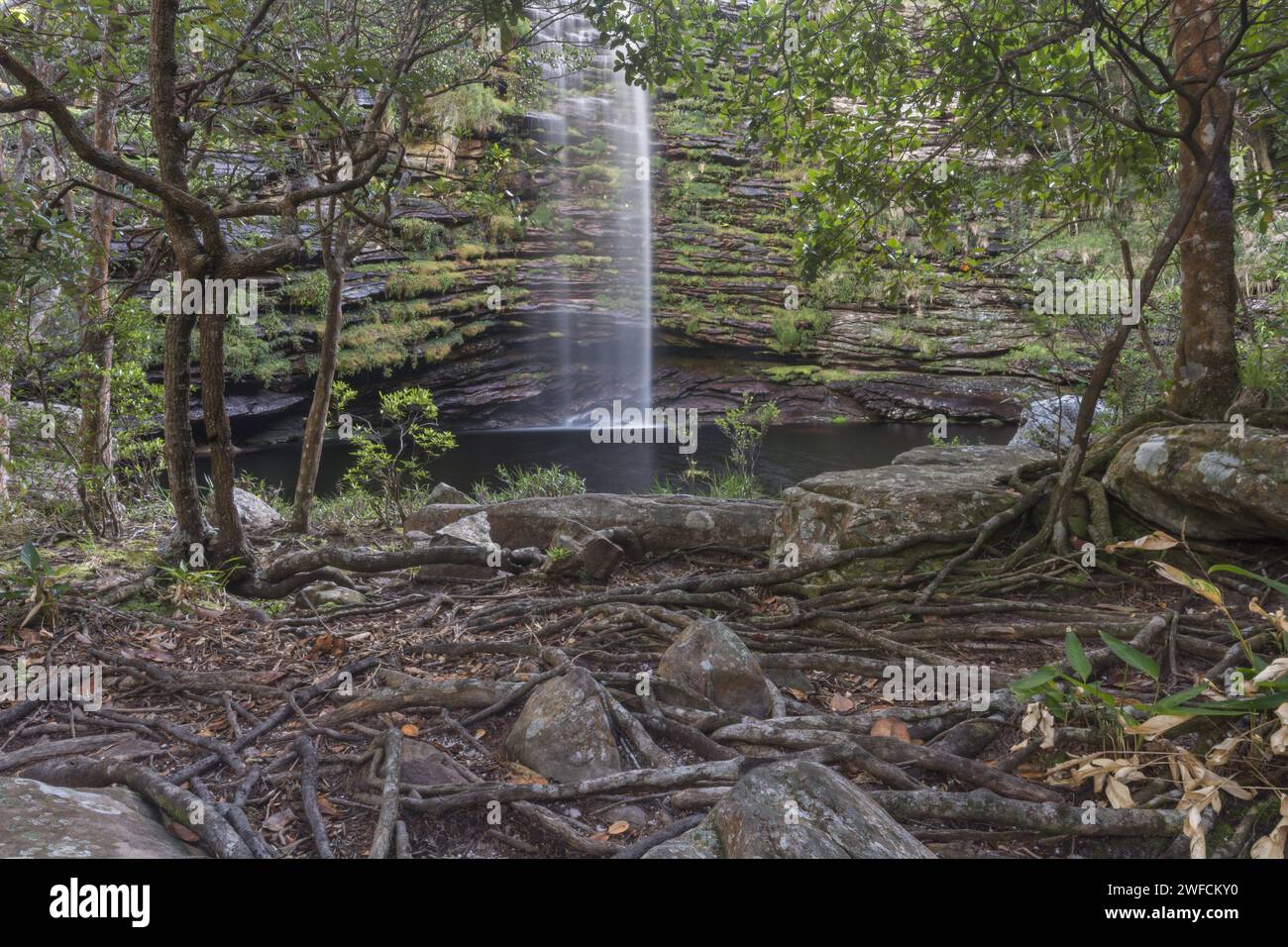 Detail of the Palmital River Waterfall - Chapada Diamantina National Park Stock Photo