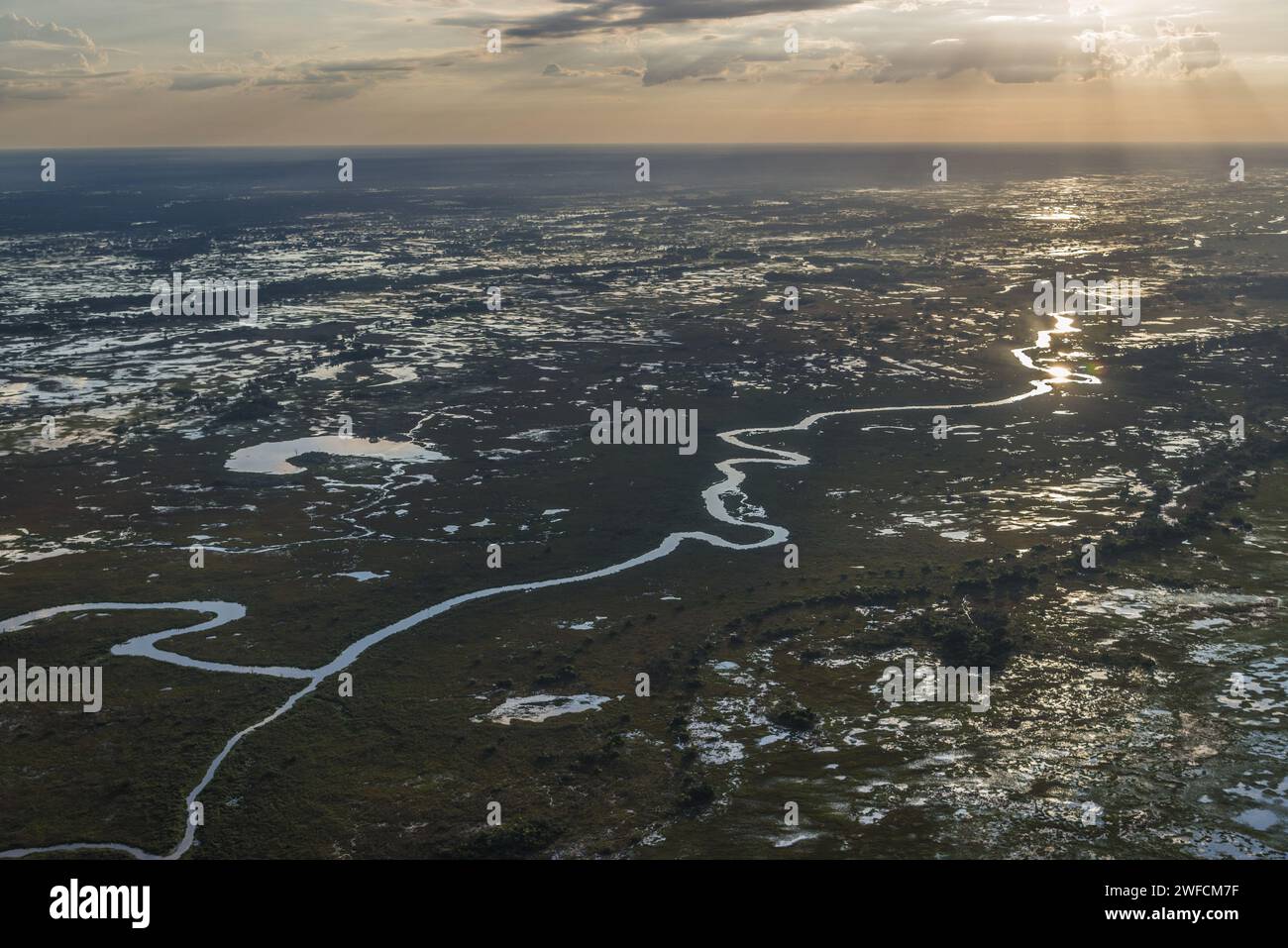 Aerial view of wetland in the Taquari river delta - Pantanal de Paiaguás - Stock Photo