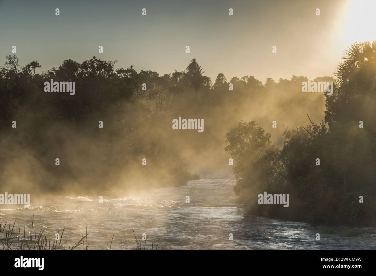 Rio Formoso course at dawn in the Emas National Park - Stock Photo