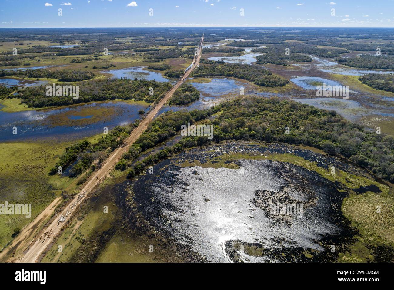 View of drone of cattle retinue in the Park Road in the Pantanal of Nhecolândia - ponds in the surroundings denominated salinas - Stock Photo