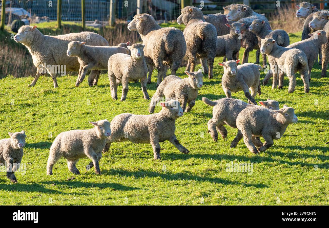 Weather january 2024 hires stock photography and images Alamy