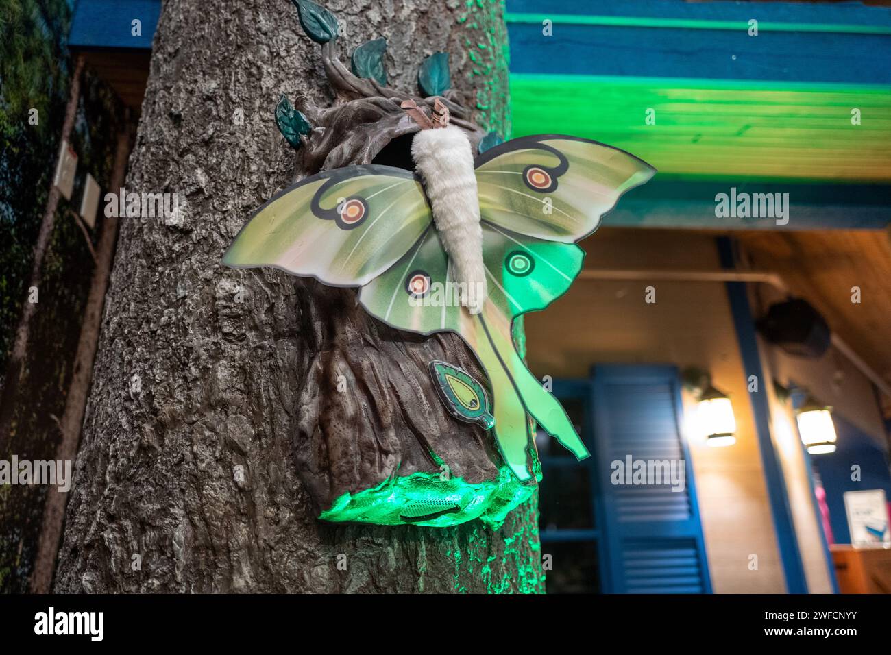 Artificial luminescent butterfly decoration attached to a tree at night