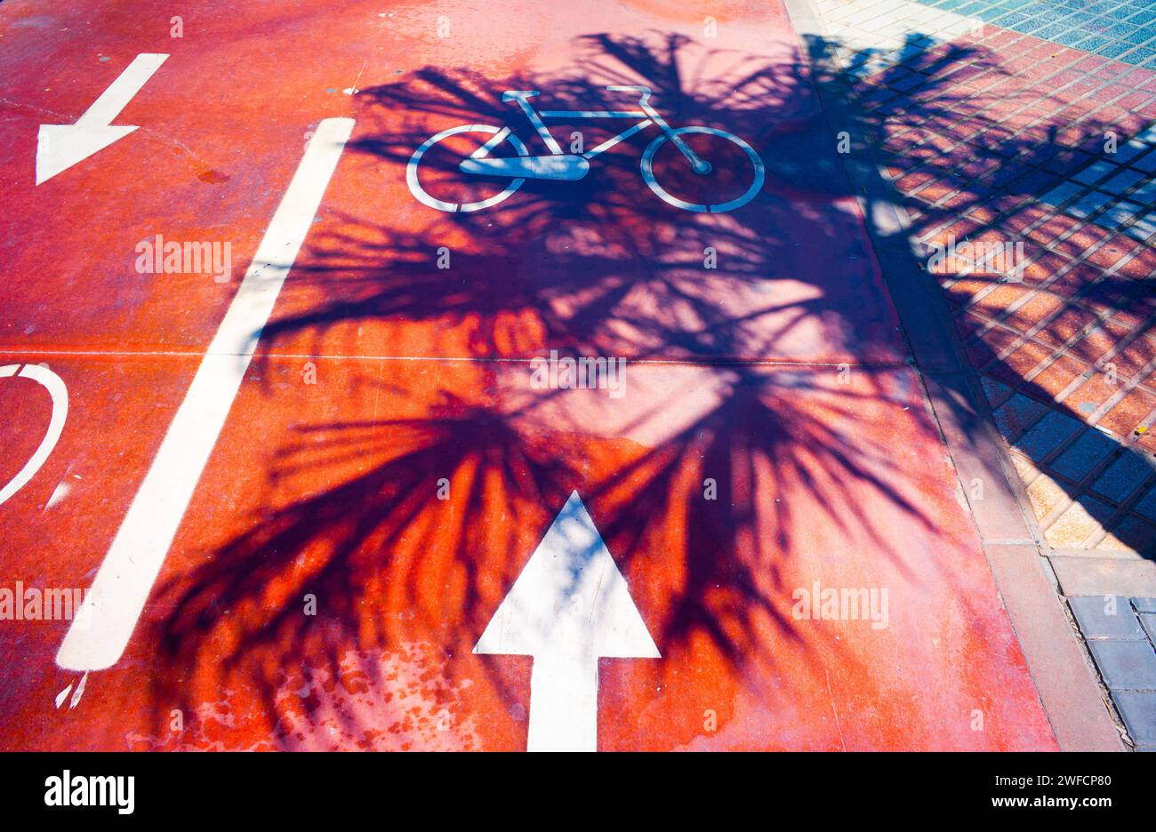 Cycle track in sun light with shadow of palm tree Stock Photo