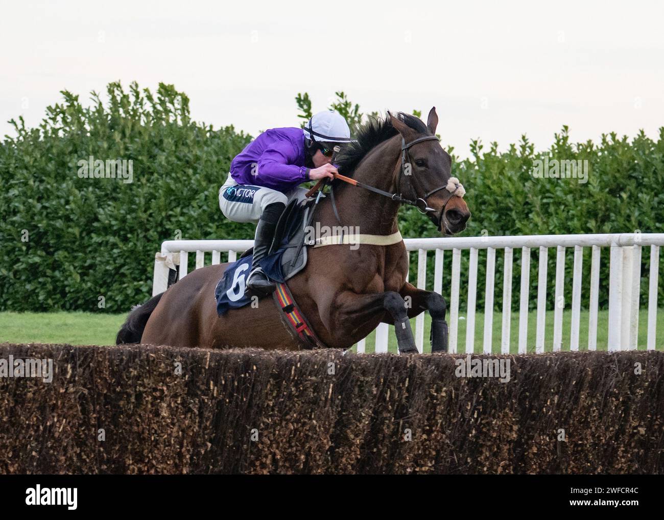 Go north red rum hi-res stock photography and images - Alamy