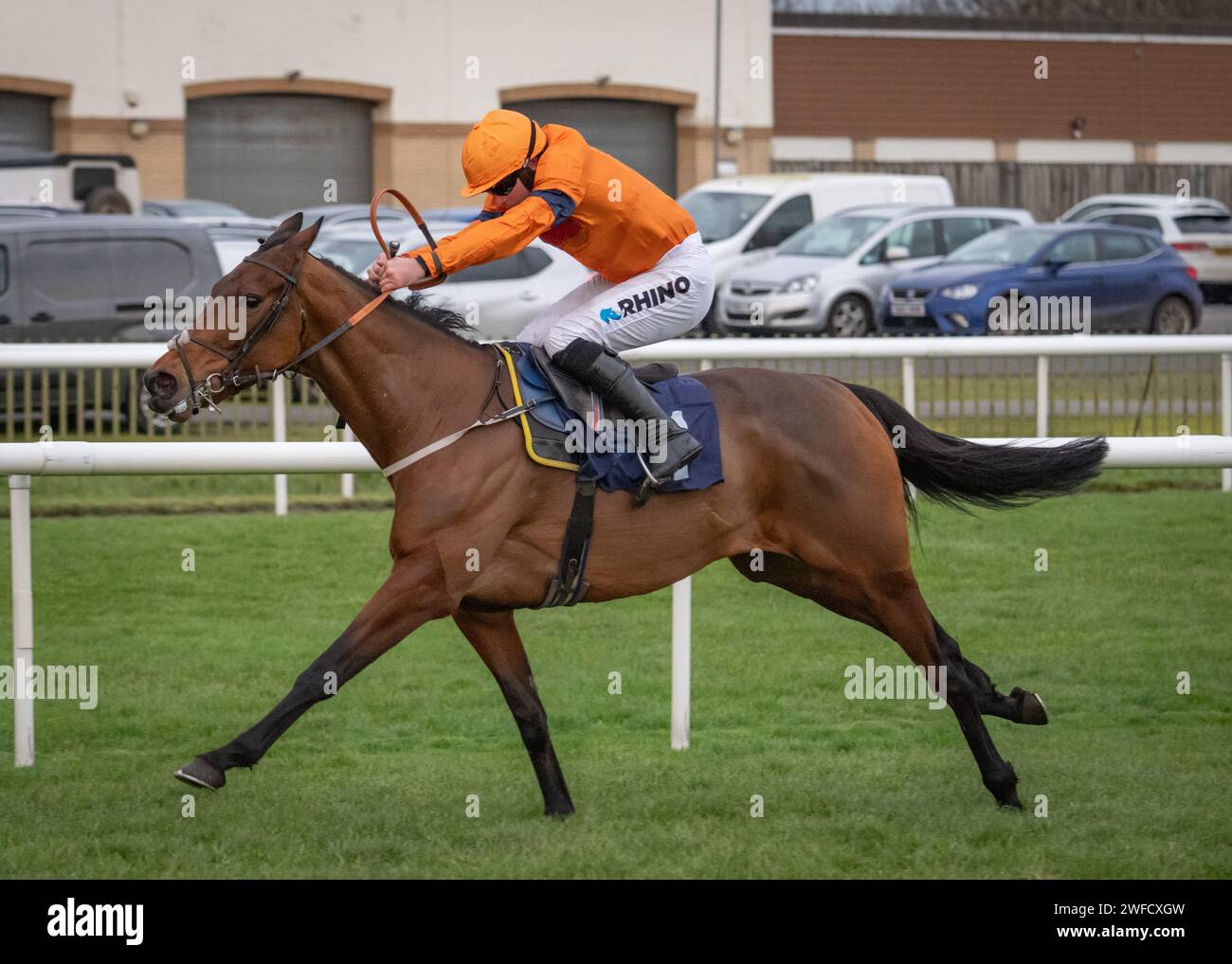Notimeforanother wins SBK Novices' Handicap Hurdle at Doncaster on Sun 28 Jan 24 for Jedd O'Keeffe, Henry Brooke and Caron & Paul Chapman Stock Photo