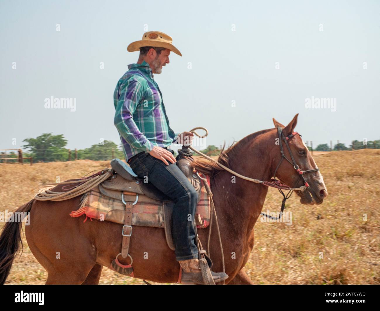 Cerrado brazil cowboy hi-res stock photography and images - Alamy