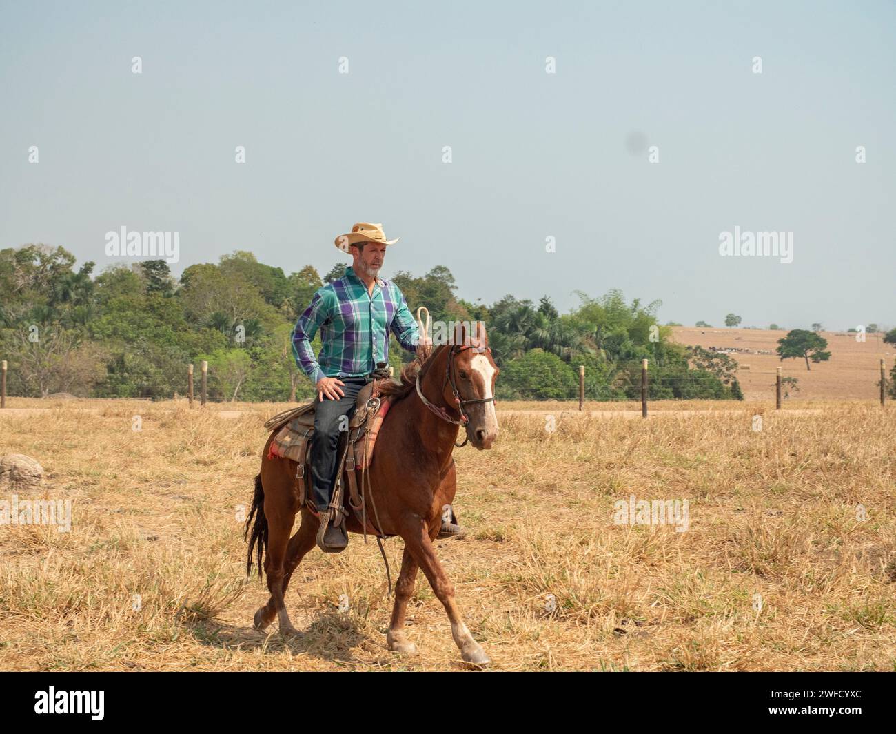 Cowboy is riding his horse on a cattle farm on dry prairie Stock Photo ...