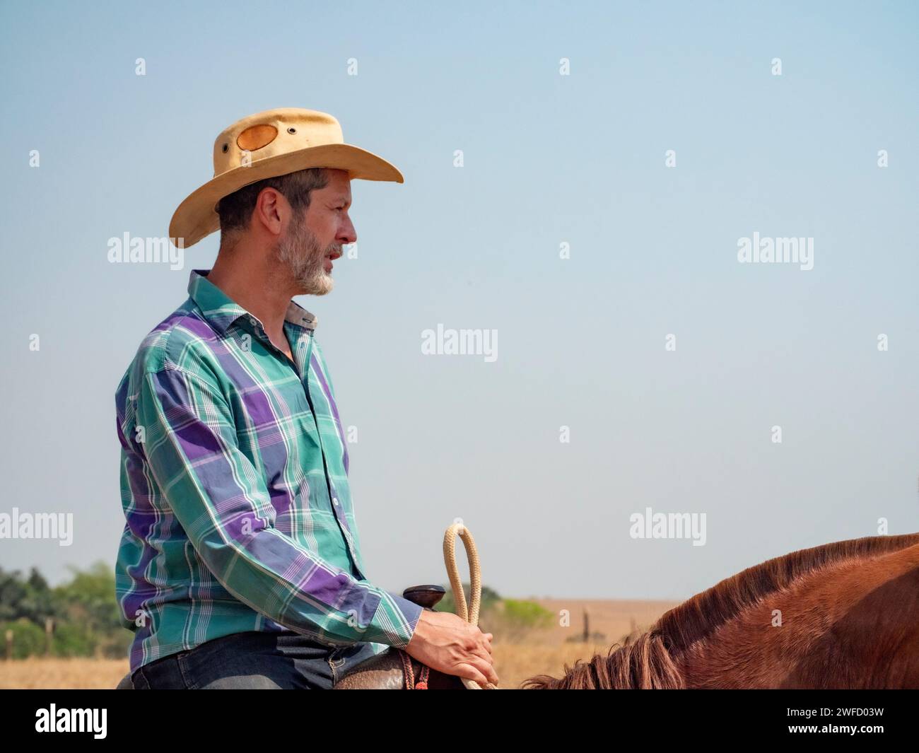 Cowboy is riding his horse on a cattle farm on dry prairie Stock Photo ...